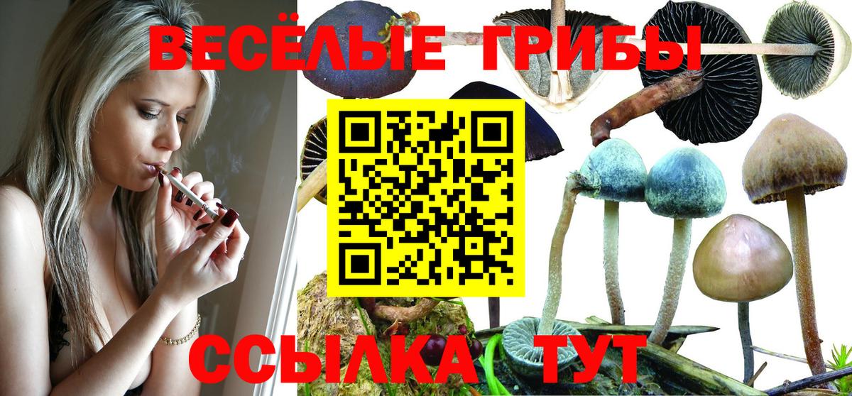 Псилоцибиновые грибы MAGIC MUSHROOMS Топки